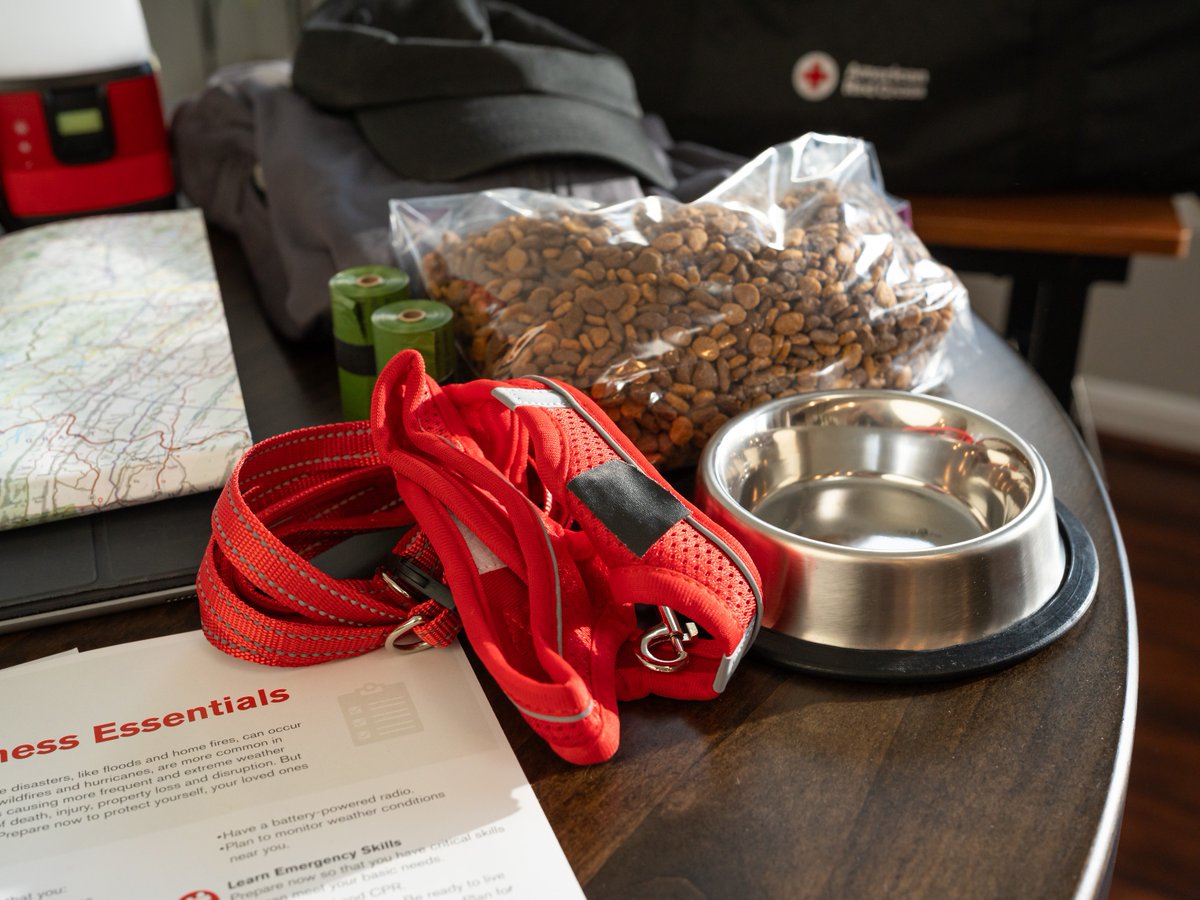 🐶🐱 Don’t forget your pets when packing your emergency kit! Make sure to include:

🐾 Leashes &amp; carriers
🐾 Food &amp; bowls
🐾 Water
🐾 Cat Litter
🐾 Medications

If it’s not safe for you, it’s not safe for them. Plan ahead to keep your furry family members safe in an emergency!