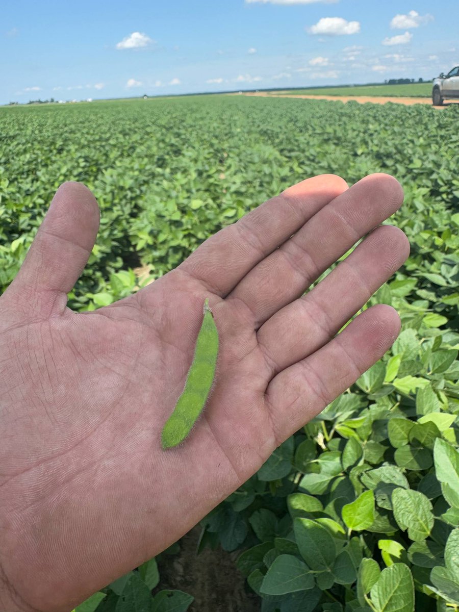 Concept AgriTek tweet media