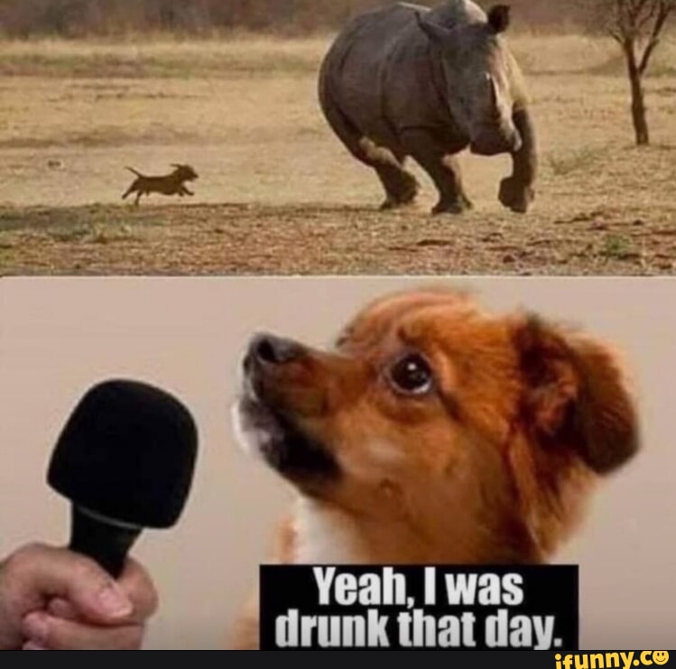 😅