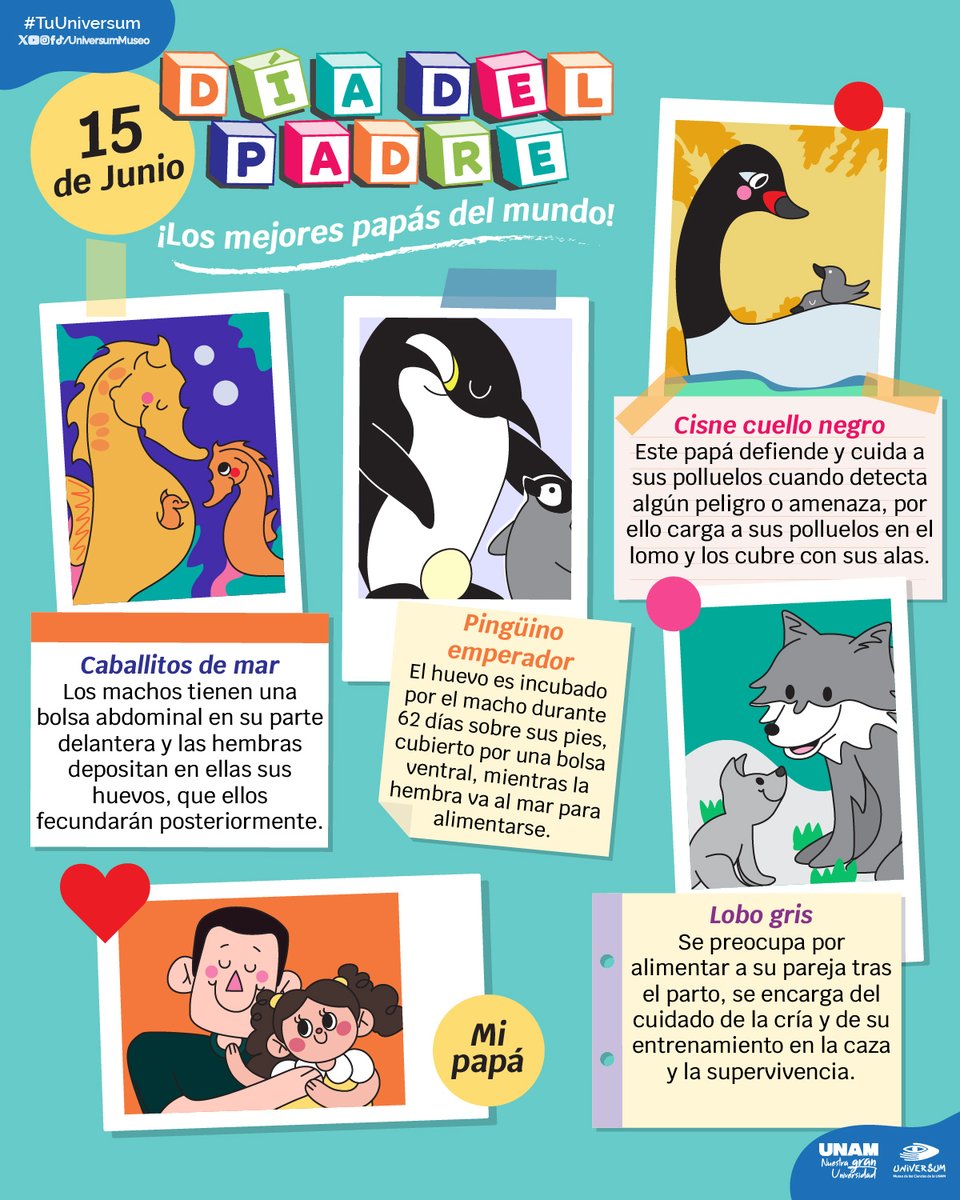 Feliz día a  todos los padres que con amor, esfuerzo y dedicación nos guían cada día. 💙 👨‍👧‍👦🙌
#TuUniversum