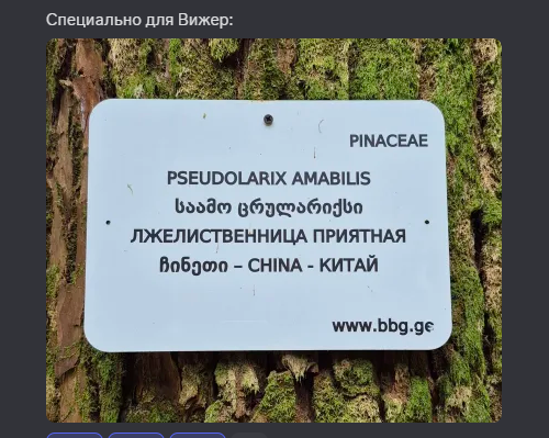 Прекрасный ник, но у Мьёрин нет твиттера💚