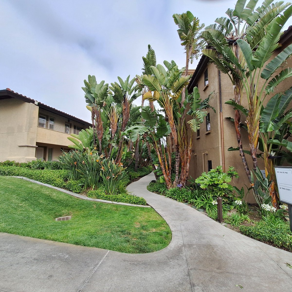 yasserauda's tweet image. I would like to thank @bestwestern for your great hospitality during my stay for Cisco Live.
The last time I visited was in 2019, and here I am again in 2025 , and my experience was perfect in both time.
Thanks for all the staff and everyone working in Best Western San Diego.