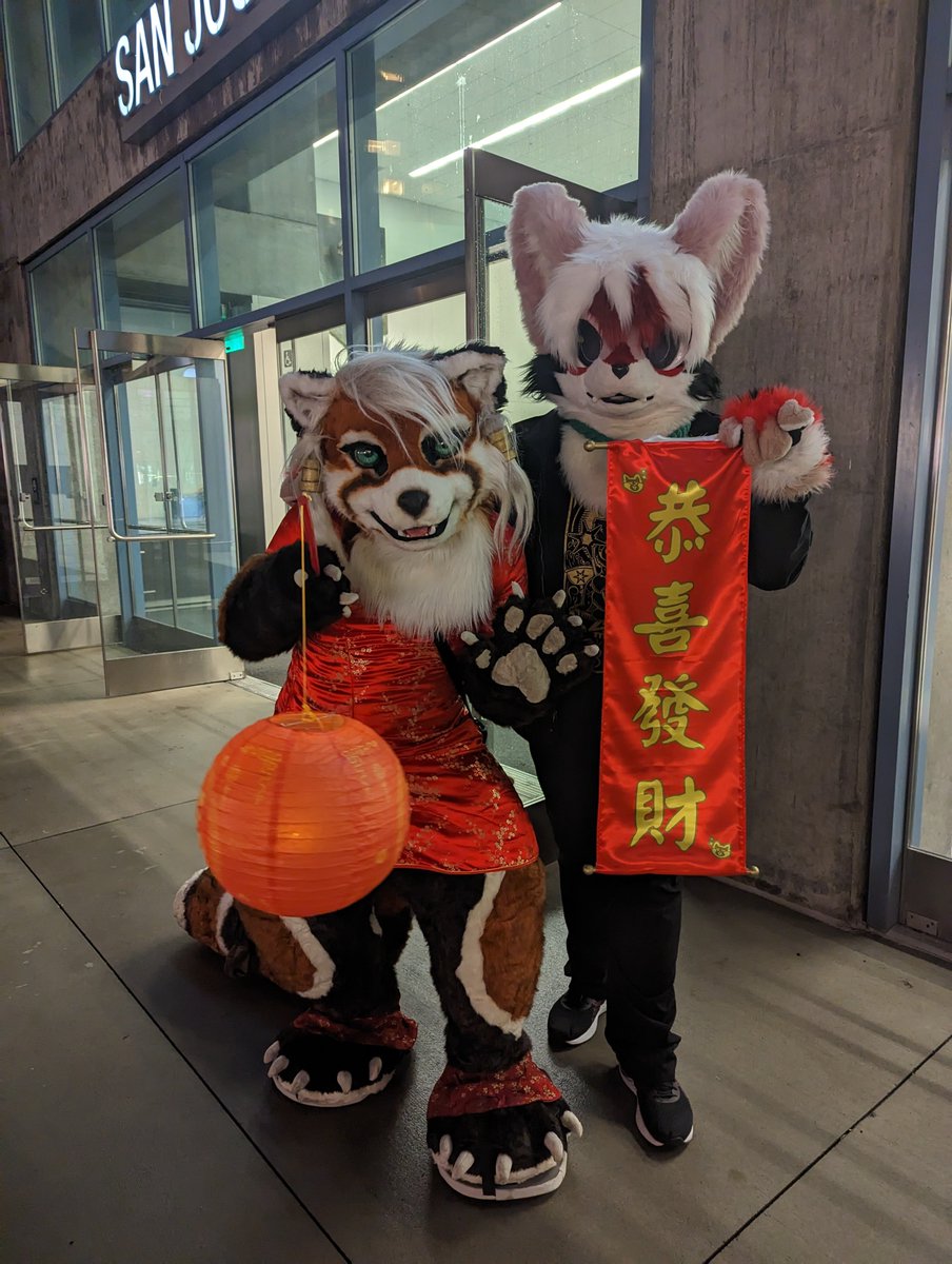 Kite 🪁🎥 tweet media