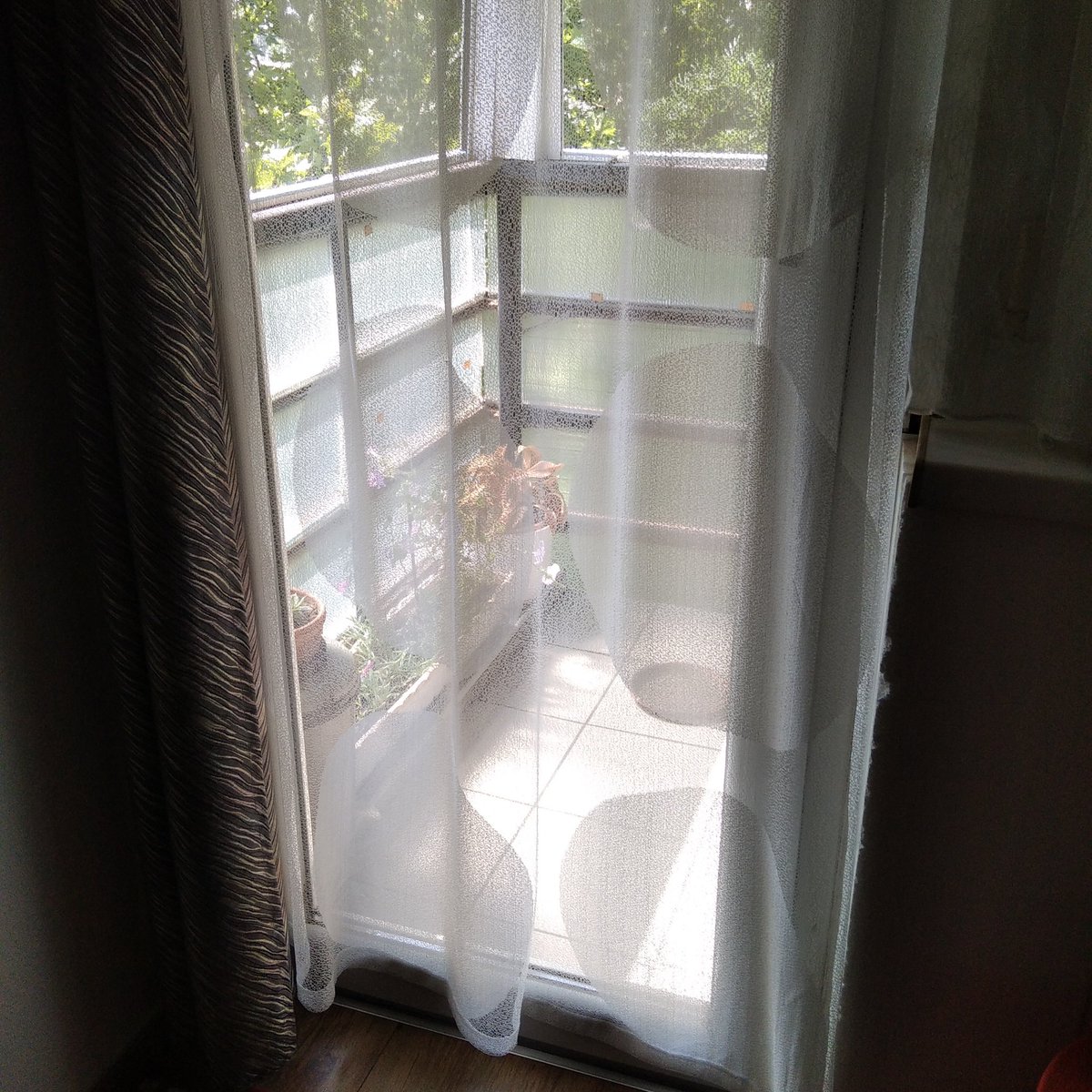 any54's tweet image. Új függöny. Az előzőt meguntuk. A nappal készült képen lehet, hogy a háttérben figyelő kedvenc petúniám jobban látszik, de az esti képen talán valamennyire kivehetőek a nagy pöttyök is.