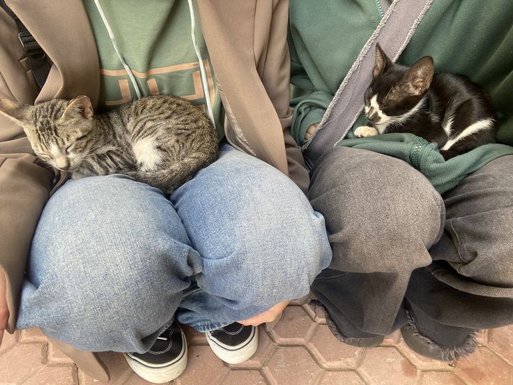 hîv. (@sorrrowfull) on Twitter photo 