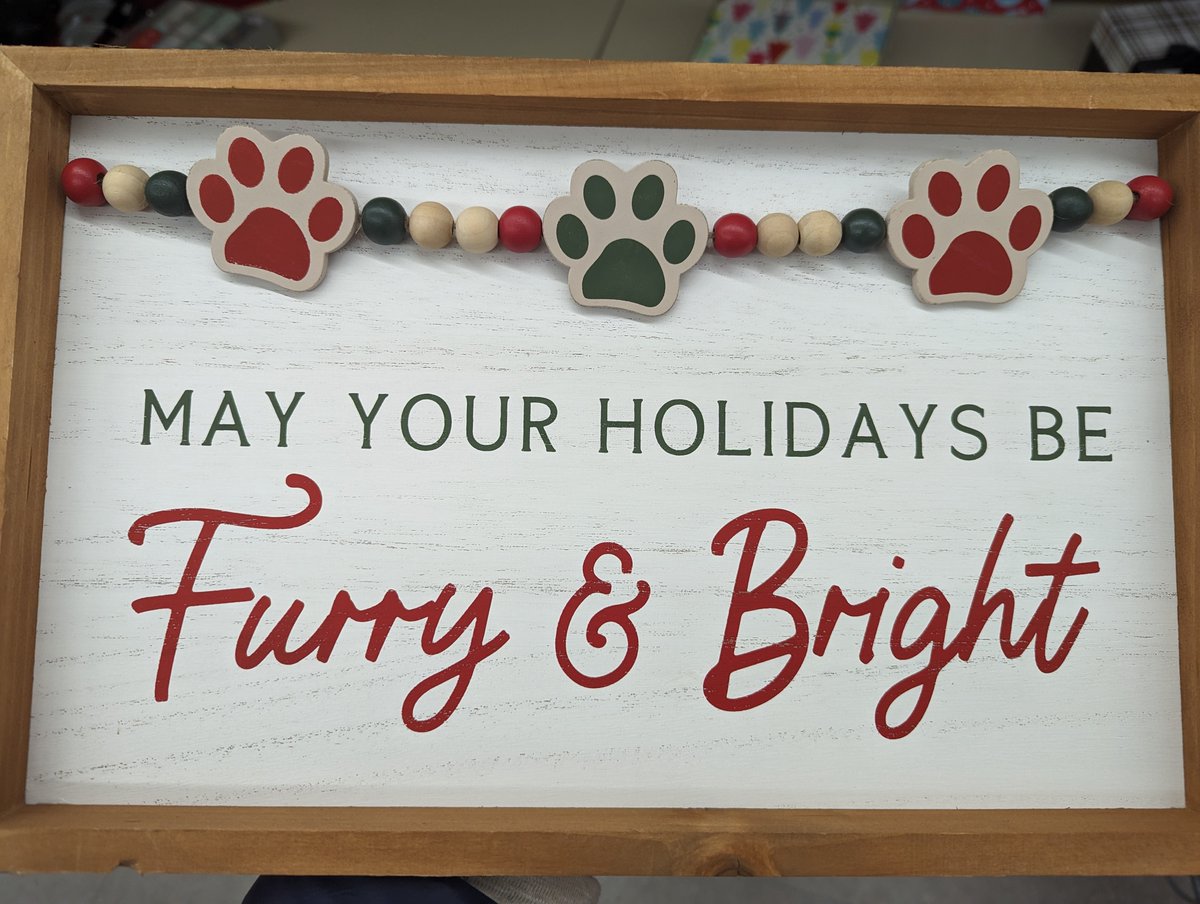 Kite 🪁🎥 tweet media