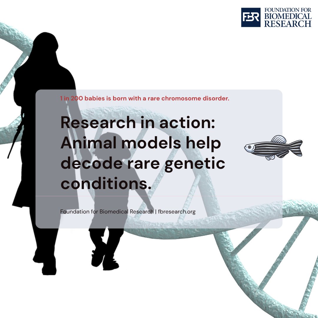 🧬Today is Rare Chromosome Disorder Awareness Day, a time to spotlight the 1 in 200 babies born with rare chromosomal changes.

Thanks to research with mice, zebrafish and other animal models, scientists are uncovering the genetic mechanisms behind rare disorders. #RareChromoDay