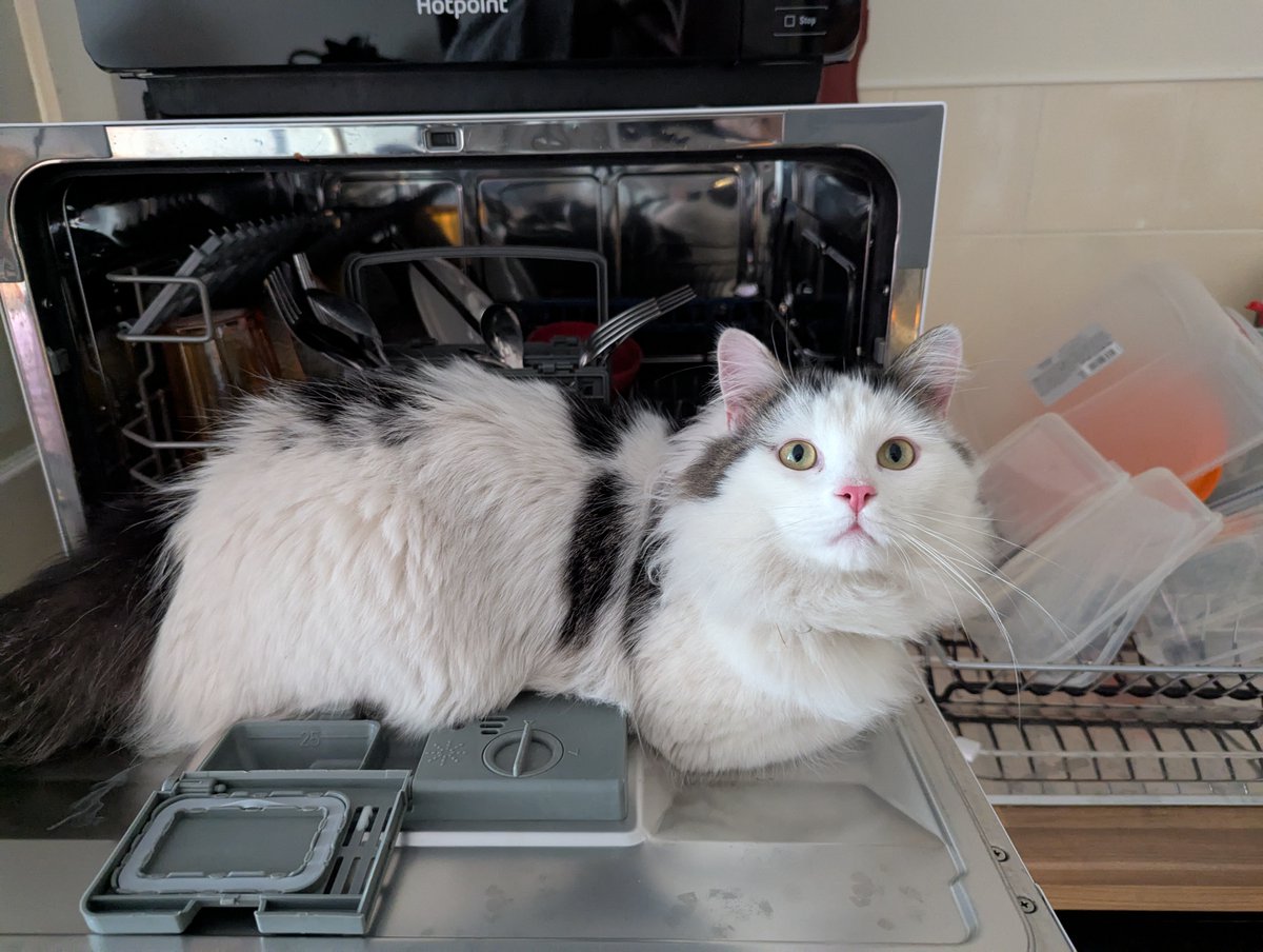 Live now to chat about how my book publisher has fucked hundreds of authors (incl myself) over, catching up and looking at some terrible houses after! Jump in now: twitch.tv/EllenFromNowOn