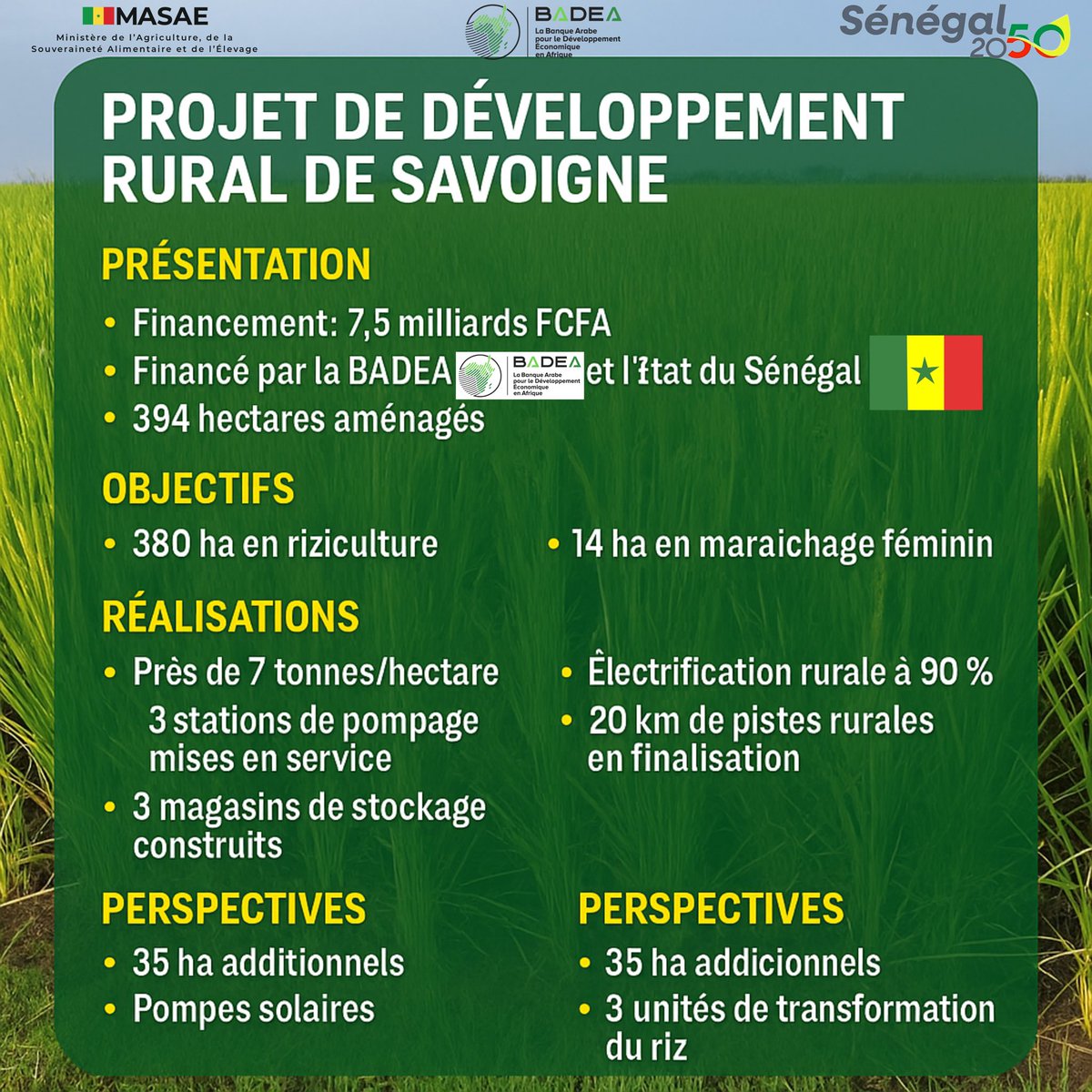 Souveraineté Alimentaire : La Tournée économique Présidentielle à Saint-Louis  des actions concrètes constater sur le terrain avec le Projet de Développement Rural de Savoigne (PDRS)

 Un levier de transformation agricole dans le Delta du Fleuve Sénégal. 

Ce vendredi 13 juin,