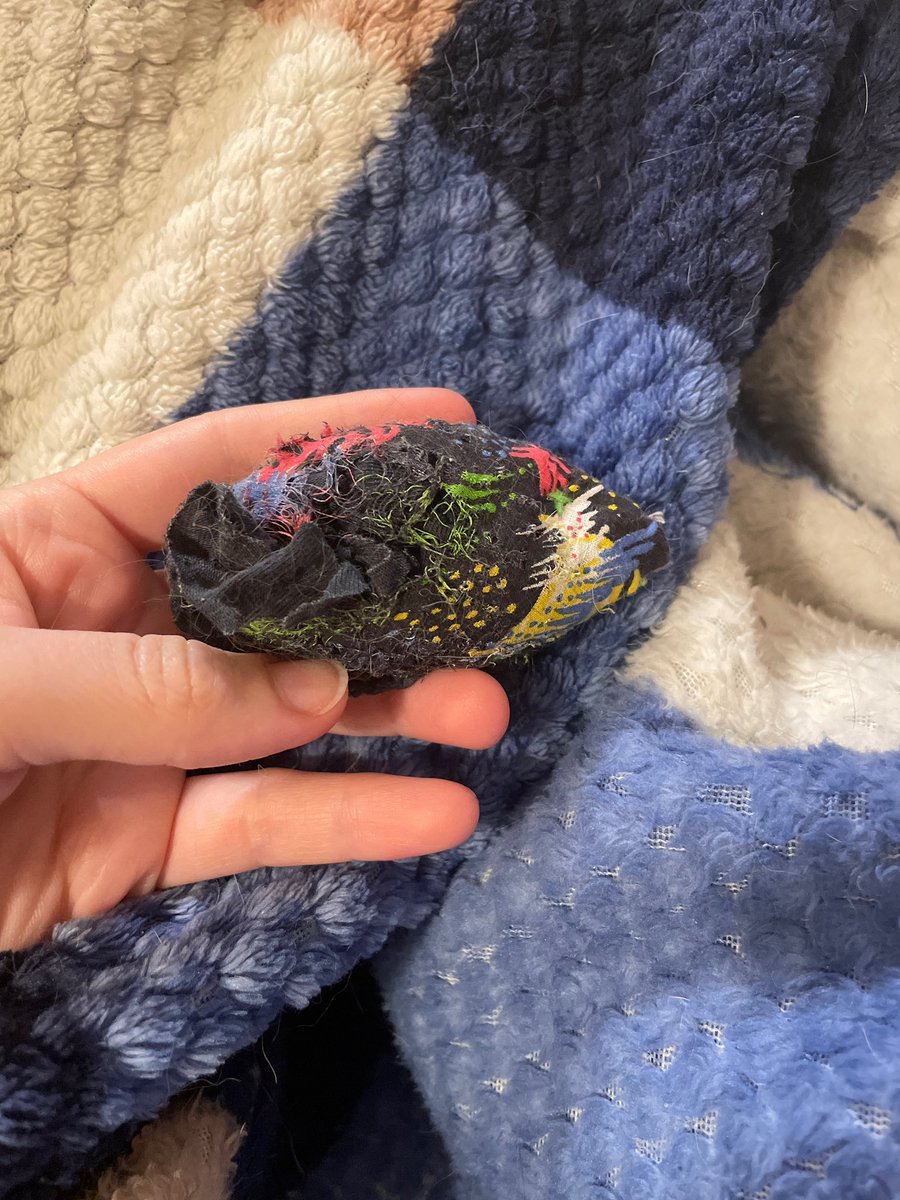 ягодка-кринжовник tweet media