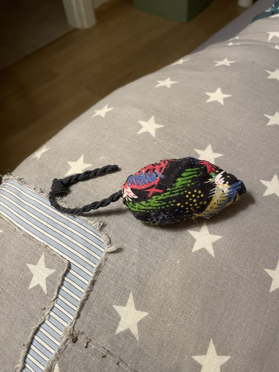 ягодка-кринжовник tweet media