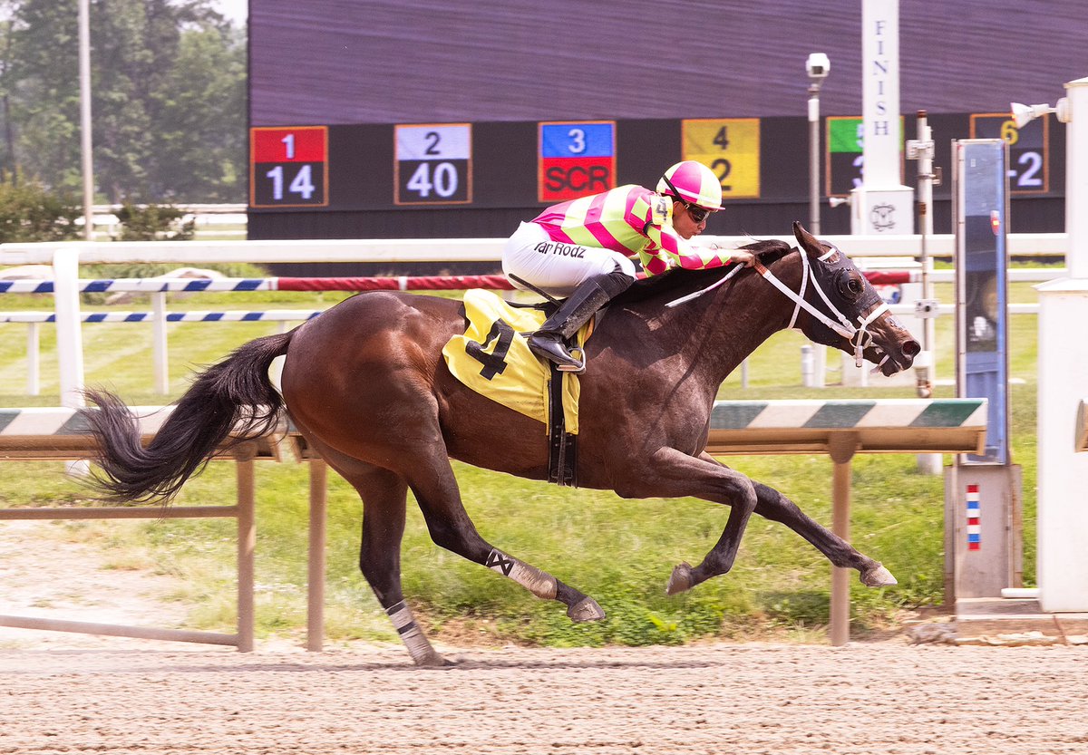 Maryland Horsemen (@mdhorsemen) on Twitter photo Dreaming of Alys, 2YO Upstart filly, rides rail to victory in debut in 5F MSW <a href="/LaurelPark/">The Maryland Jockey Club, Inc.</a>. Ridden by apprentice Yan Rodriguez for trainer Gary Capuano and owners London Reid TBs & Non Stop Stable. (Jim McCue 📷) Dreaming of Alys, 2YO Upstart filly, rides rail to victory in debut in 5F MSW <a href="/LaurelPark/">The Maryland Jockey Club, Inc.</a>. Ridden by apprentice Yan Rodriguez for trainer Gary Capuano and owners London Reid TBs & Non Stop Stable. (Jim McCue 📷)