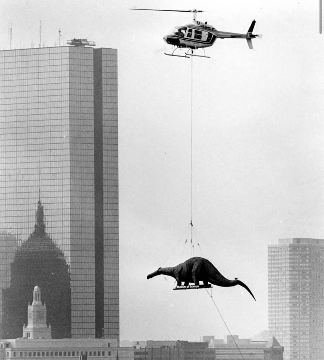 A helicopter delivered a model dinosaur to the city’s Museum of Science, Boston, 1984.  (Arthur Pollock photo)