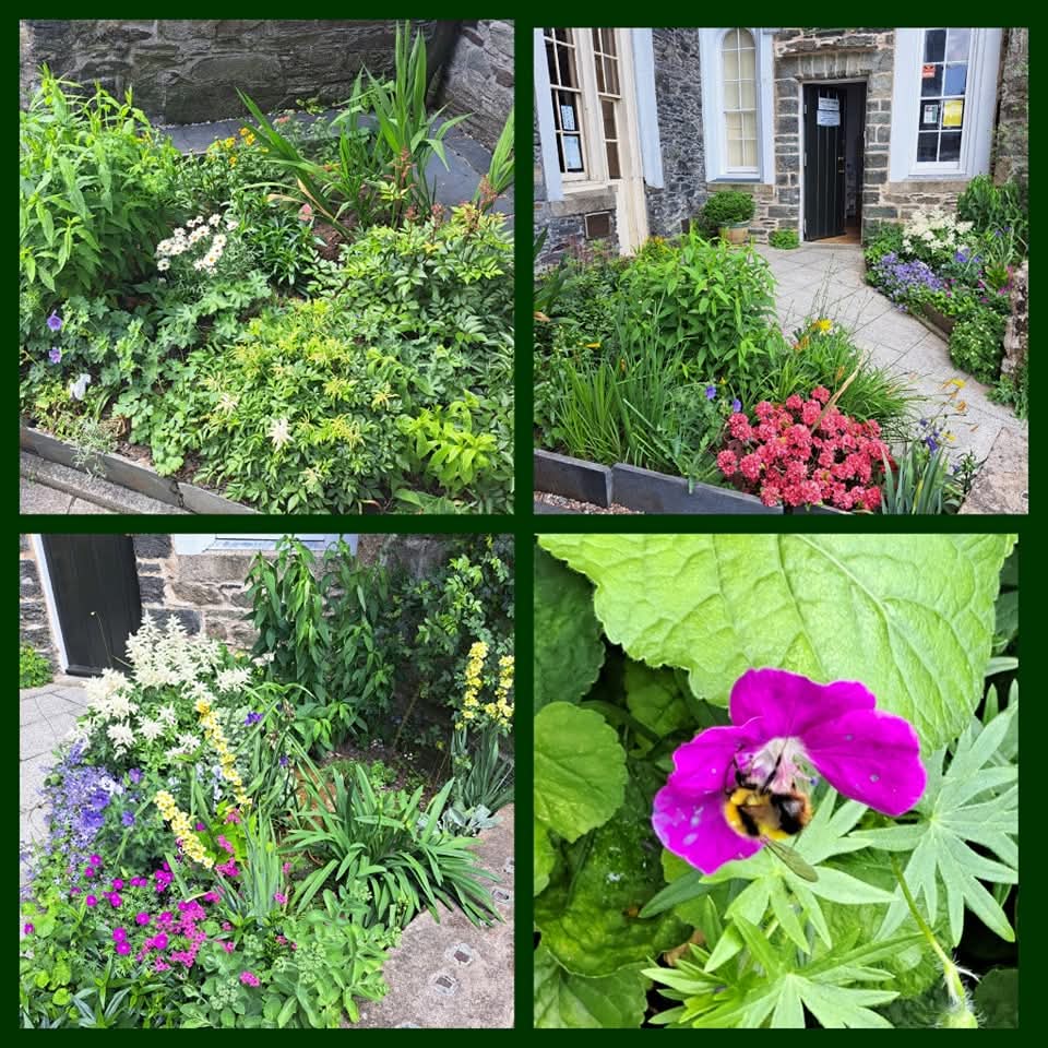🌸🏵Look at the beautiful colours coming through in our lovely little victorian garden!🏵🌸

We're so happy, even the bees are enjoying themselves in our pretty flowers 🐝

Summer is definitely on its way 🌞🥰

We are open again tomorrow from 11am 🥳 Can't wait to see you!☺️