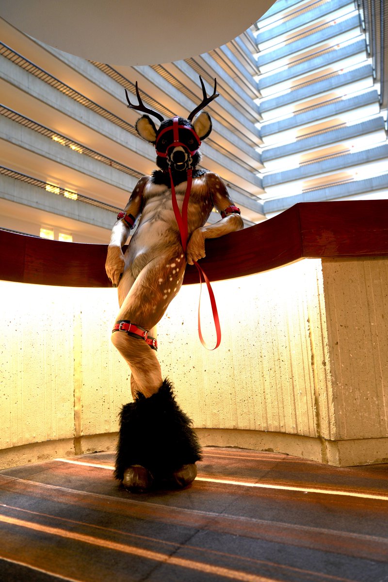 Fuckin Rubber Deer @rubberdeer.bsky.social tweet media