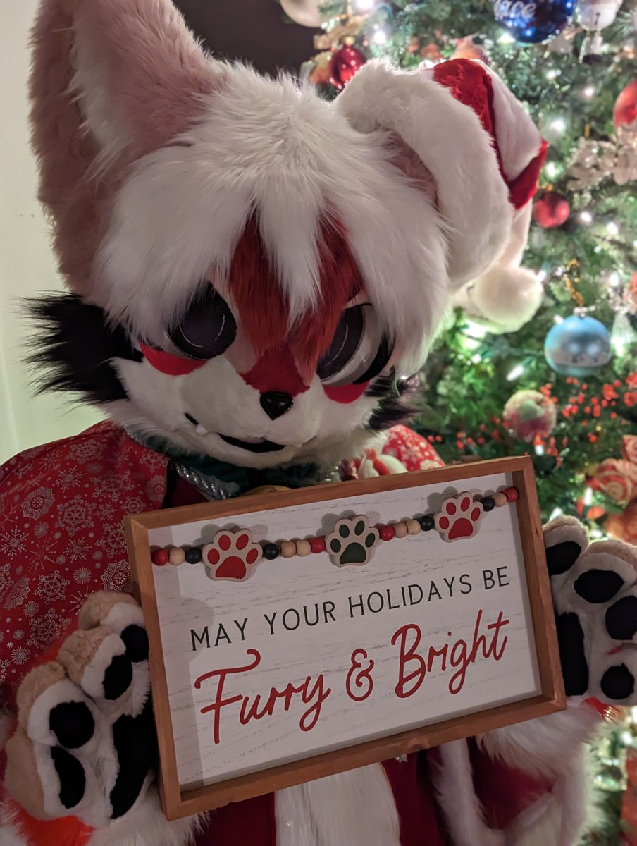 Kite 🪁🎥 tweet media