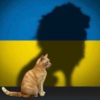 Purring for the innocent people &amp; anipals of #Ukraine. Purraying for them to be able to live peacefully in their own country without having war waged against them. #IStandWithUkraine #PrayForUkraine #Purrs4Ukraine #SlavaUkraine #purrs4peace PurrpurrpurrPurrpurrPurrpurrPurrpurr