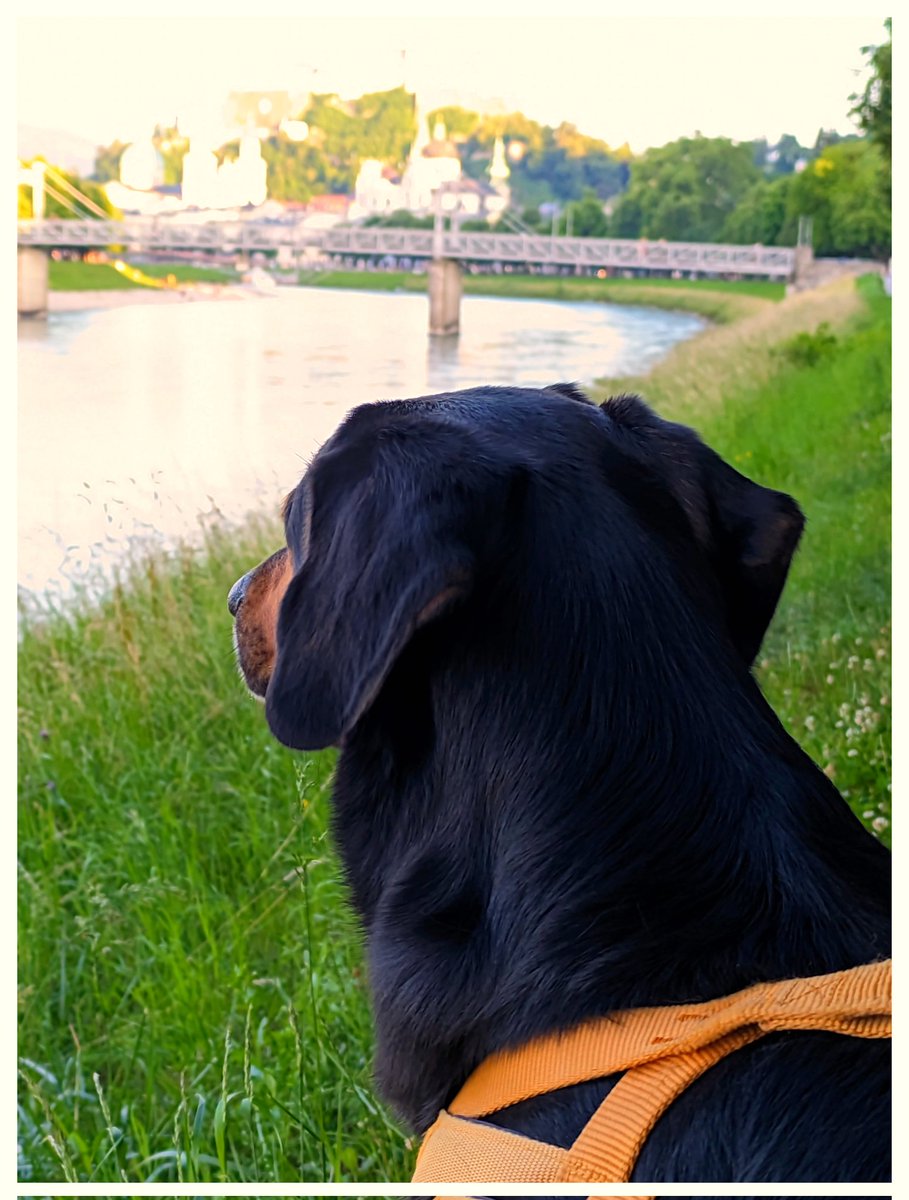 Ratet mal, wo ich heute war. 🐾🐾