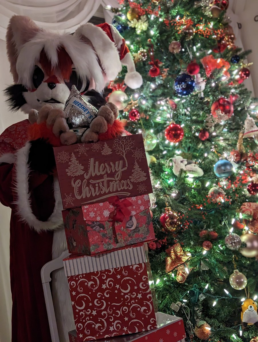 Kite 🪁🎥 tweet media