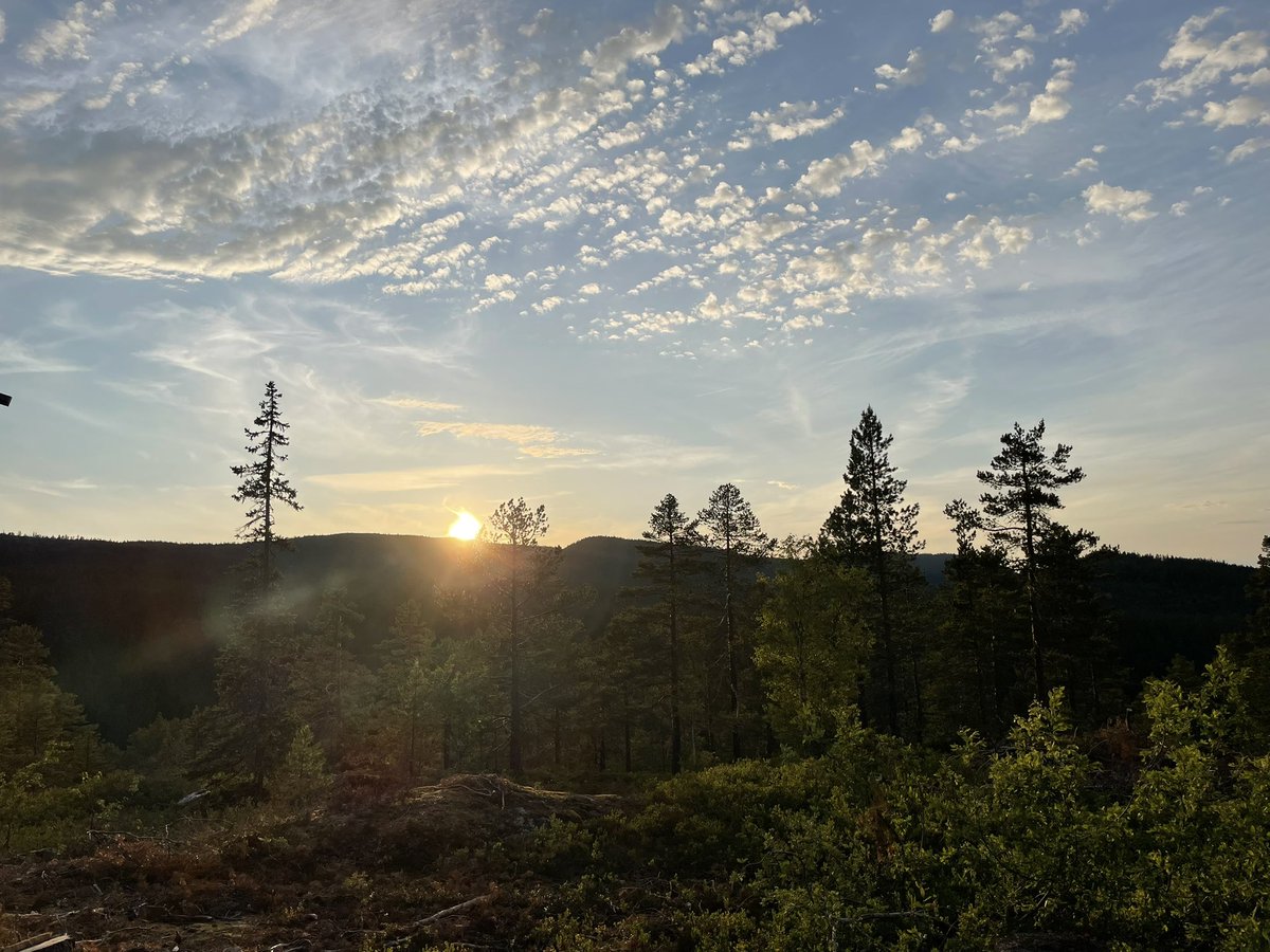 Sunset 😊💕🦉Enjoy your weekend