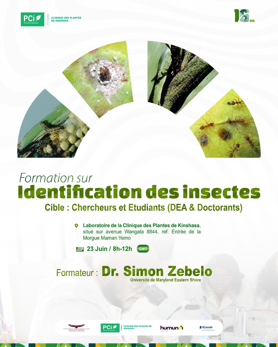 Bornagues🇨🇩Kubakidi tweet media