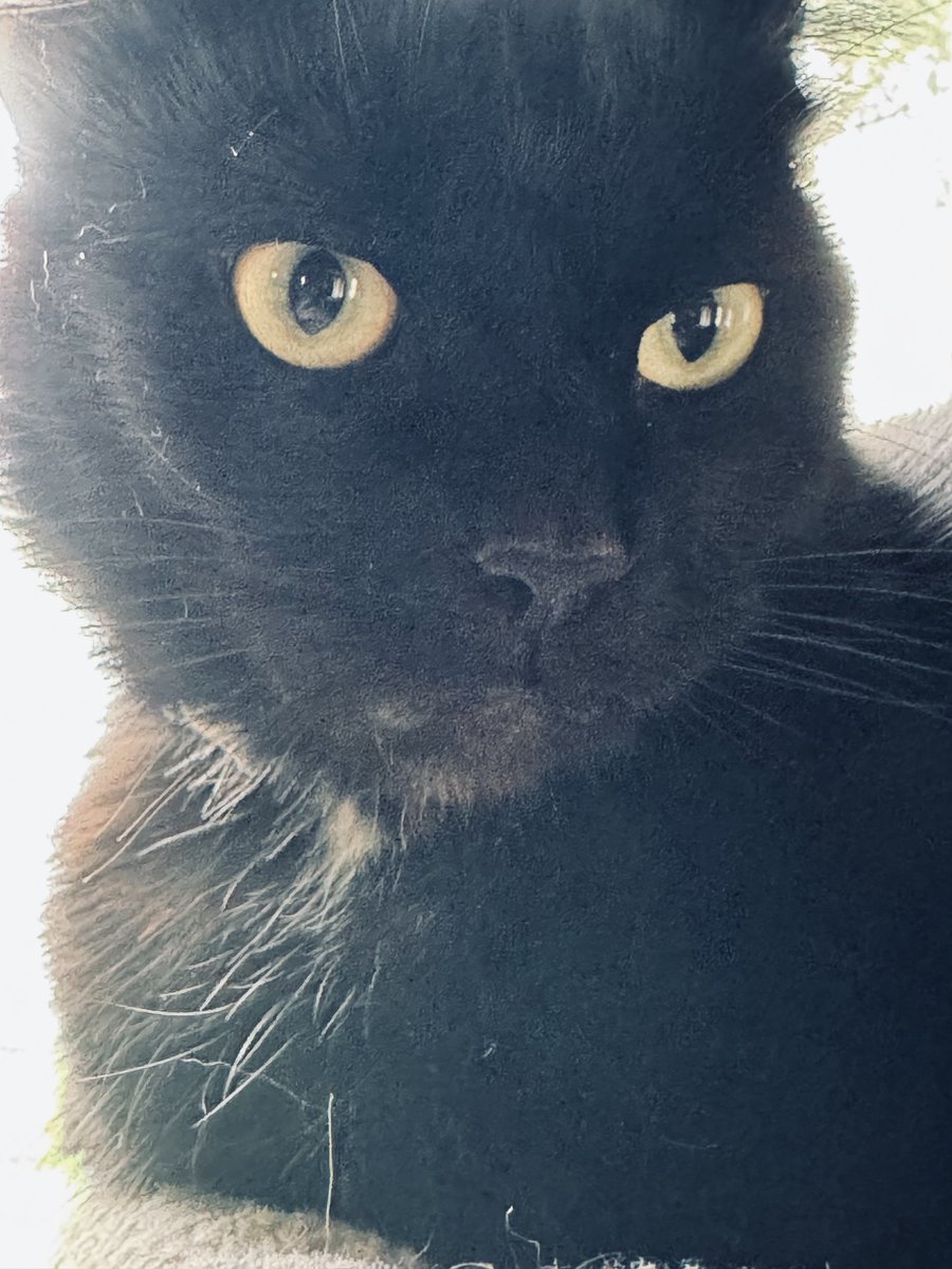 <a href="/MadScientistFF/">Damien Scott</a> Bob works for us