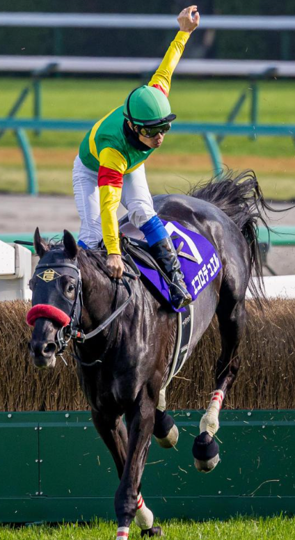 RallyBet's tweet photo. 【"J GIII" 東京ジャンプステークス】東京4R, 芝(障害)3110, 11:45

現時点での人気順は
⑦『ジューンベロシティ』
④『サイード』
⑤『ロスコフ』
となっている。

やはり圧倒的な人気と実力を示す
⑦『ジューンベロシティ』

GIでの優勝経験こそないものの
GIIやGIIIでは優勝経験あり！

前走の≪"J GI" 中山グランドジャンプ≫では
最終4着ながら
序盤はトップ集団をけん引する
位置につけていた。

今回の出場馬の中でも
群を抜いた存在と言えるだろう！

------------------------------------------
～競馬に新風を呼び込む！～
【BEAT HORSE】耳寄り情報
------------------------------------------

《RALLY BET》では、
業界の常識を覆す
「"馬券の発行が可能" なゲーム」 = 【BEAT HORSE】
を展開中！！

ここではレース毎の
狙い目を公開していく！！

見逃しは厳禁だ！！

AIの判定でも
　本命：⑦『ジューンベロシティ』
　対抗：④『サイード』
　単穴：⑤『ロスコフ』
と人気どおりの結果となっている。

BET（馬券購入）では
いわずもがな
大本命の「⑦」を購入しよう！

EAT（馬券発行）なら
障害レースでは
波乱の可能性もあるが、
多少のリスクも取りつつ
　⑧『ブリエヴェール』
というのが
現実的な選択となりそうだ。

さぁ、
下記リンクから登録して
実際のプレイで試してみよう！

〈RALLY BET公式サイト〉
https://t.co/fG6Utlb1Tx

#東京ジャンプステークス #ジューンベロシティ #サイード #RALLYBET #BEATHORSE