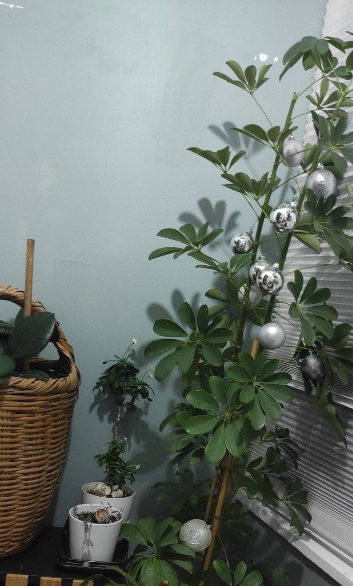 #Geceye
Taht ve taç geçicidir
Hiç gönullere girdinmi?