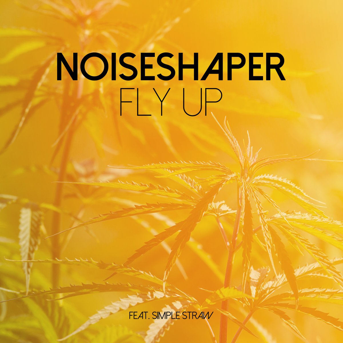 perfectradio1's tweet photo. Friday on https://t.co/8kQYOoczYe
Noiseshaper feat. Simple Straw - Fly Up
Kitty-May - Our Place
Kissing Other ppl - Ashes of American Flags

#Noiseshaper #SimpleStraw #KissingOtherppl #ToManyHashtags https://t.co/NuqNuwT5ku