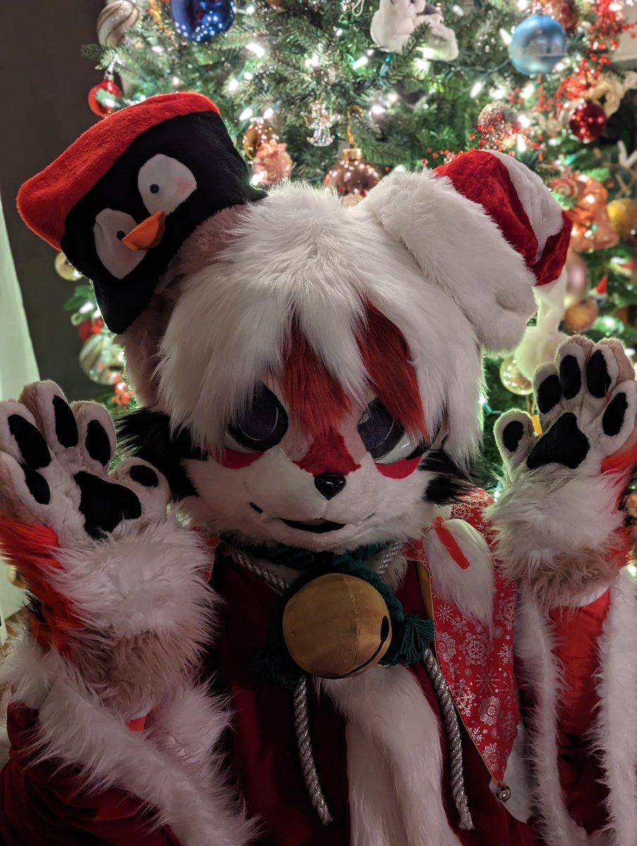 Kite 🪁🎥 tweet media