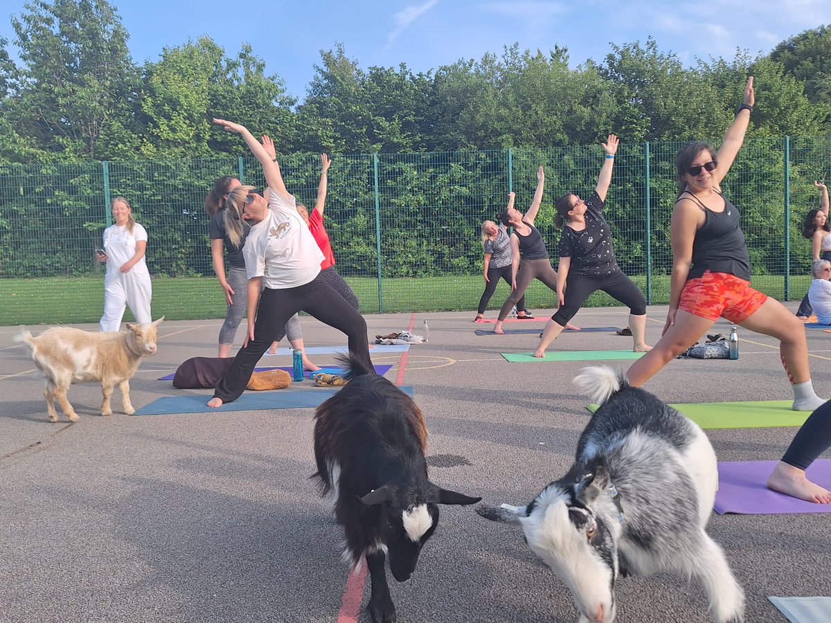 AlwoodleyPS's tweet photo. A massive thank you to Shadwell Yoga Studio for their time tonight delivering #goatyoga at our school. Another @OPAL_CIC fundraiser in the bag ! What a lovely relaxing evening 🧘‍♂️ 🐐 @JessicaBF1980 @AnaArdelean13 https://t.co/zuAzf2H34Q