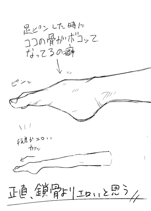 性癖を公開していく 