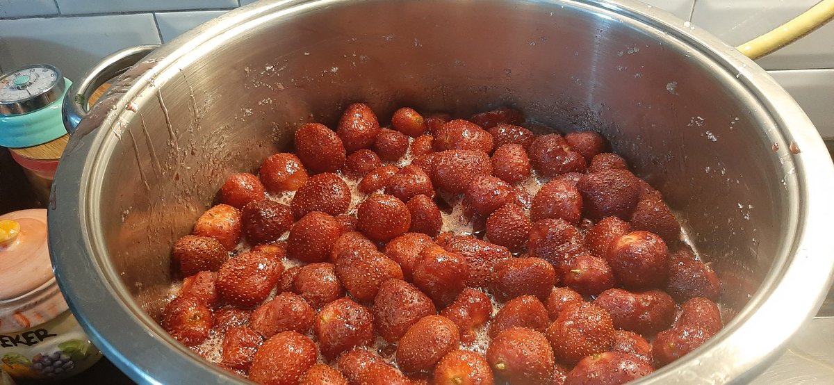 Mutfağa hakim olmam, yemek işini çok sevdiğim anlamına gelmiyor😳
El lezzeti şeysini de sanki yemek işini üzerimize yıkmak için uydurduklarını düşünüyorum 🙄
sanki evet 🙄
Kesin öyle🤨