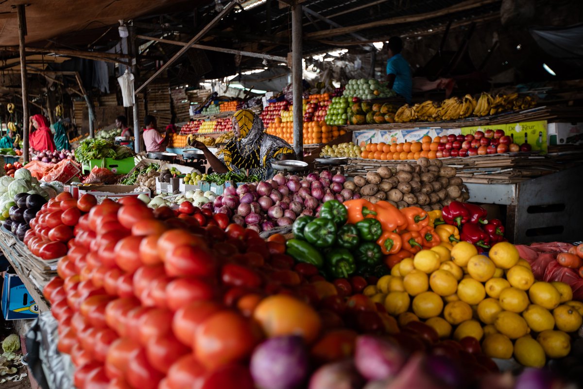 WorldBankMENA's tweet photo. This week, the @WorldBank joined an #agrobusiness roundtable in #Djibouti on fruit &amp; vegetables (incl. hydroponics), dates, livestock, &amp; aquaculture. These sectors are key to #sustainable development—and promise more &amp; better #jobs for Djiboutians. https://t.co/M0bLCRxlZp