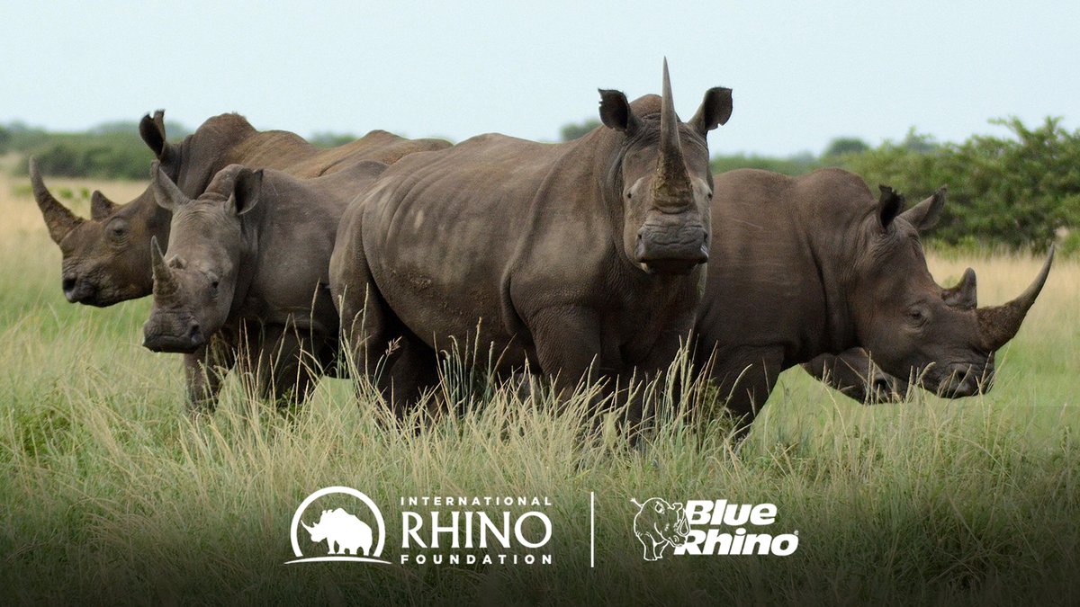 Through our ongoing partnership with @rhinosirf, we're committed to supporting rhino conservation. 🦏 Want to learn more about how you can help? Visit their site and join the cause – rhinos.org. #SaveTheRhinos #NotJustPropane