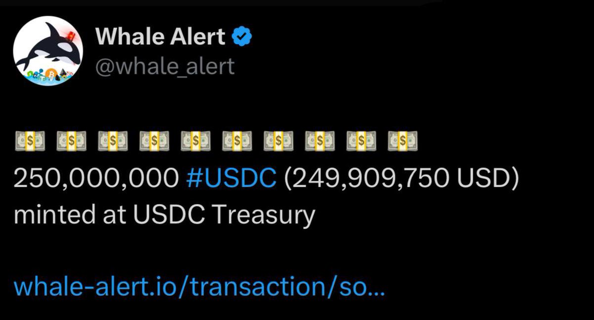 💵 $250 MILLION USDC JUST MINTED.

WHALES BUYING THE DIP !!