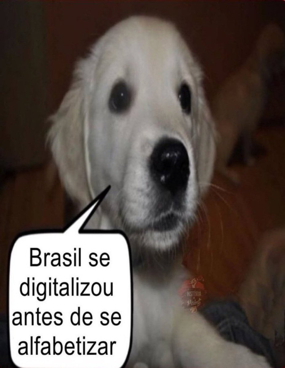 almafitan0's tweet photo. gente, política internacional não é torcida de futebol não

o Irã é uma ditadura religiosa que viola direitos humanos e Israel tem um governo fascista, mas os civis que moram em Teerã e Tel Aviv não têm nada a ver com os crimes dos Estados, vamos parar de torcer por bombardeios https://t.co/crwHBwmghl