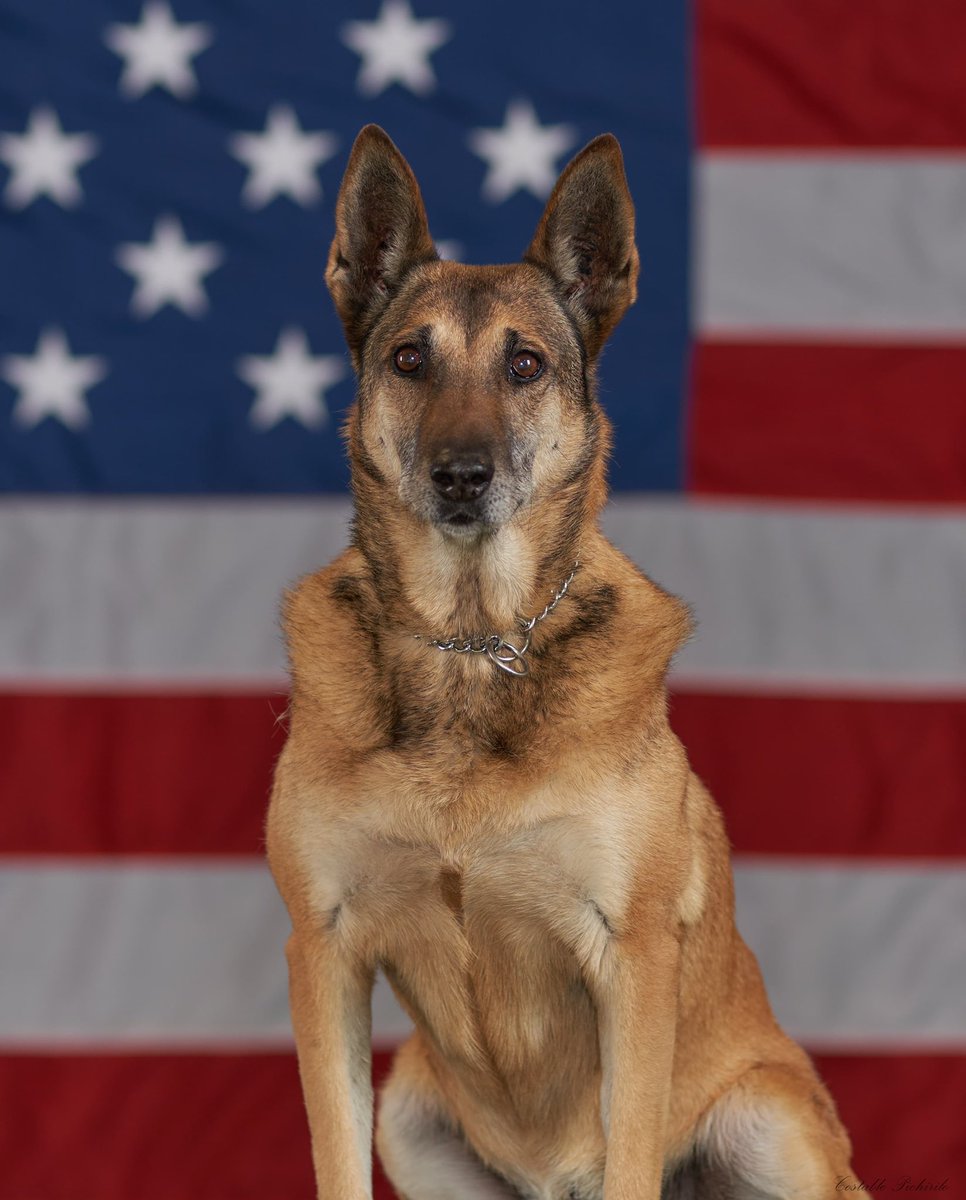 Feliz 1️⃣4️⃣ cumpleaños, K9 Cita! 🐾