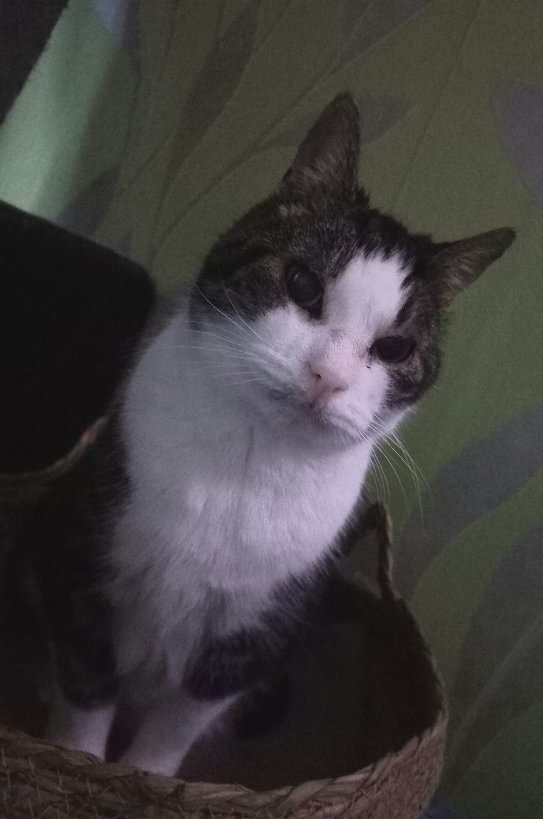 Selfie gemaakt van die ouwe 😻😻😻