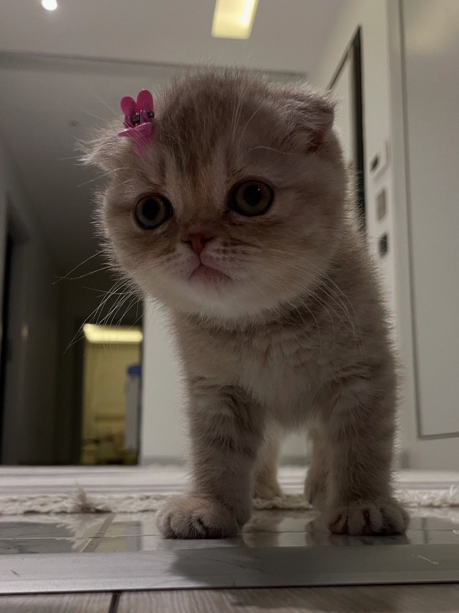 herkes guzel kizima baksin cabuk