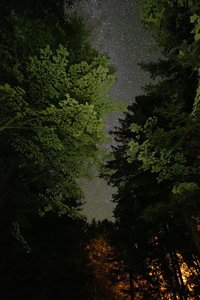 Trade streetlights for starlight 🌌 Come unwind under the night sky at Chutes ✨

#OntarioParksNE #ChutesProvincialPark #CampUnderTheStars