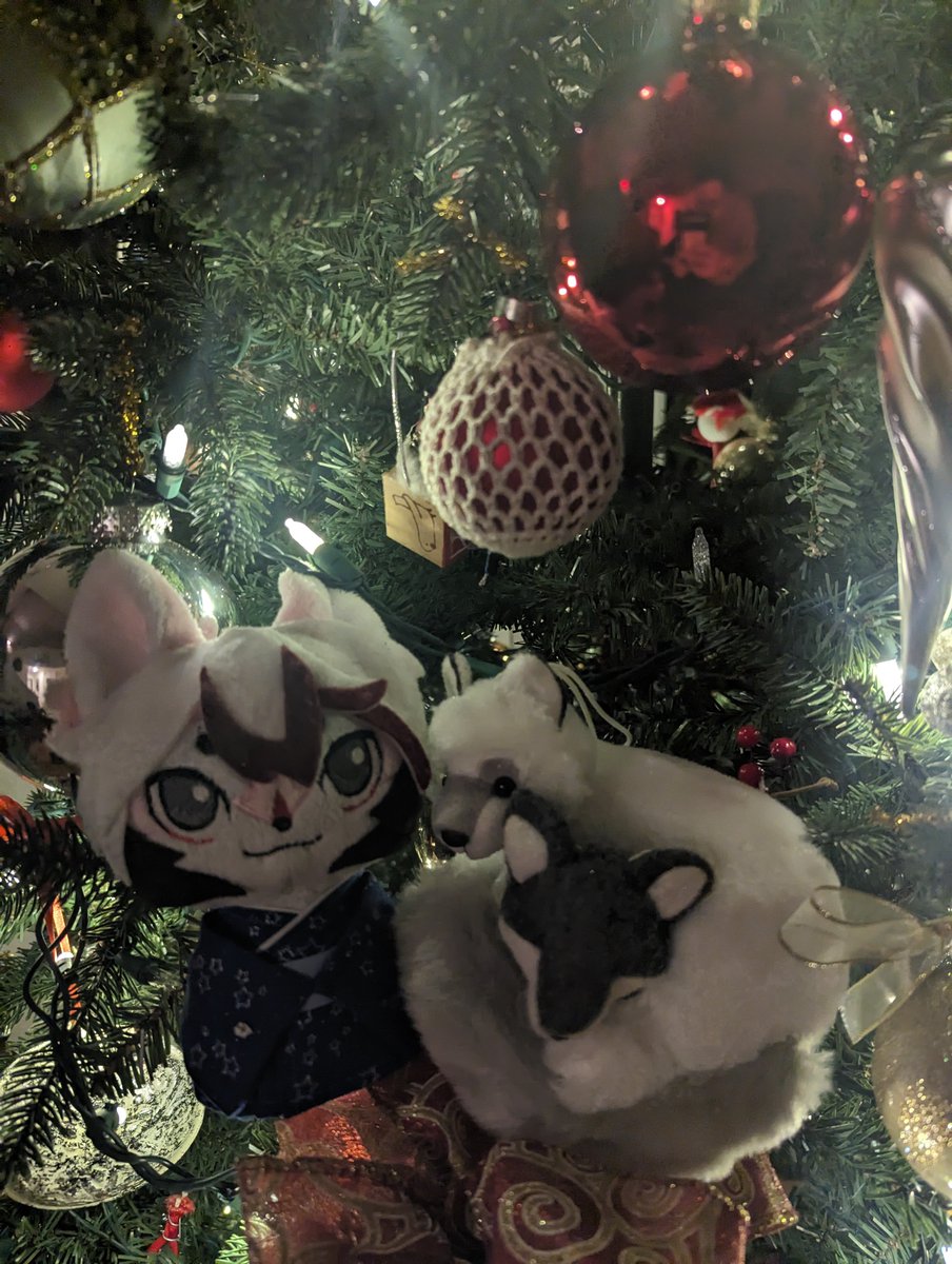 Kite 🪁🎥 tweet media