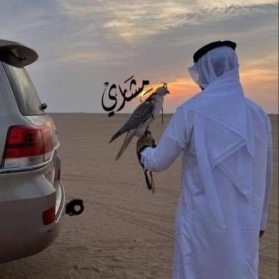 اداره ياهلا tweet media