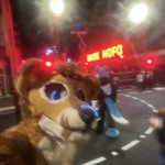 Photo by Evalion (@evaliondragon)
