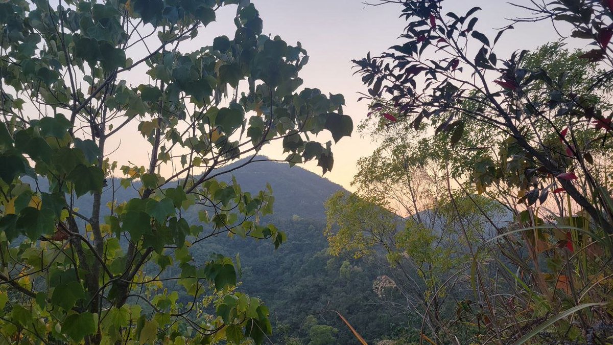 0xVector's tweet image. #openseatouchgrass