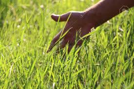 Iflip Wiguna tweet media