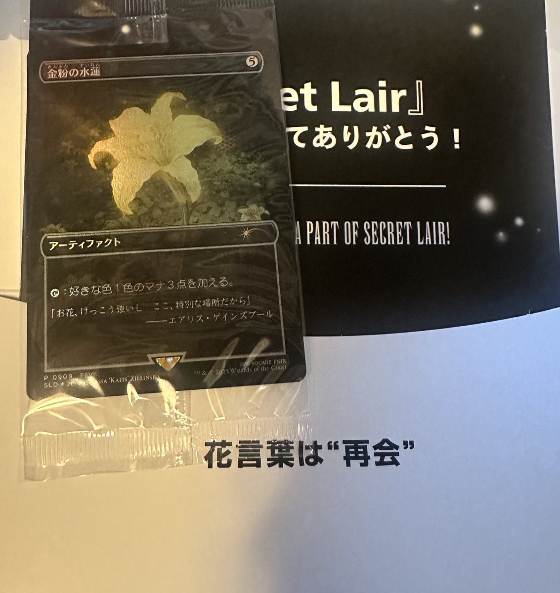 Knowelspole's tweet image. Flower Meaning: Reunion 
Aerith’s flower !