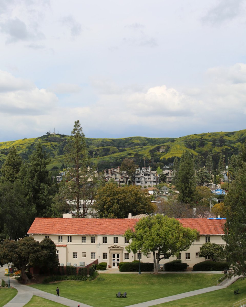 Picture perfect 🤩🖼️