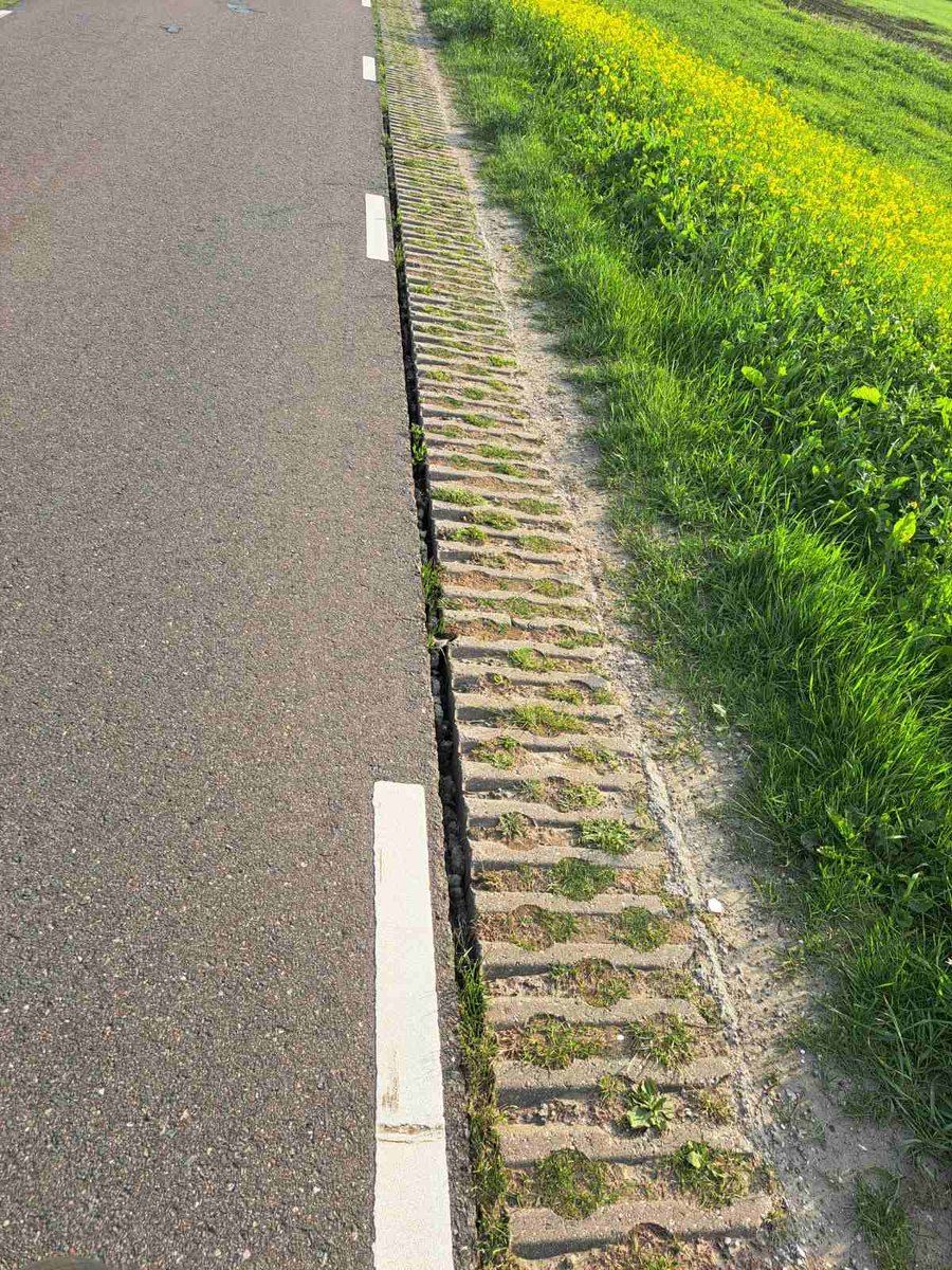 WolversRob's tweet image. We zijn nu 5 jaar verder, nog steeds niets aan gedaan en inmiddels verzakken de tegels steeds verder @Stadswerk072 .  
Dit is gewoon wachten op een zwaar ongeval.
Nieuwe melding: 85374