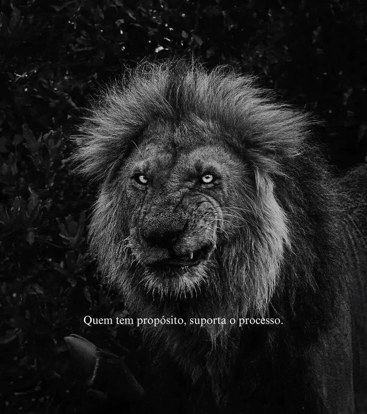 Essa é a verdade!!